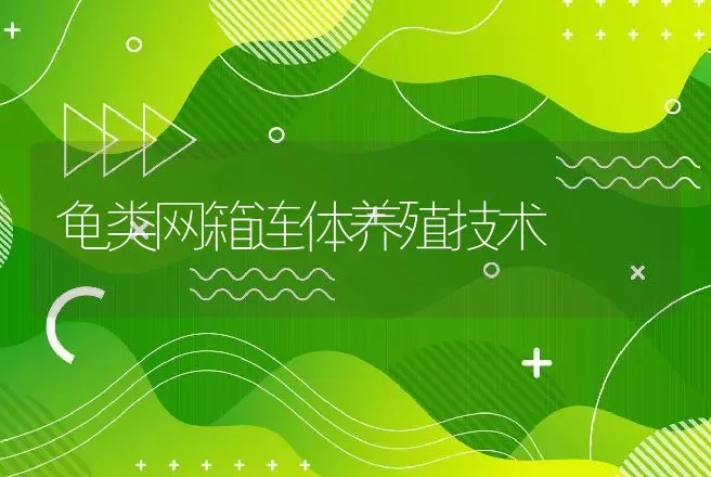 龟类网箱连体养殖技术 | 动物养殖