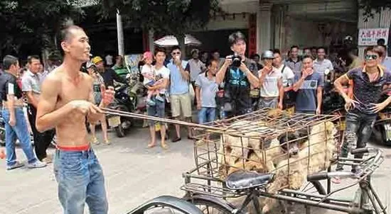 狗可能永远是狗，而人有时候不一定是人 | 宠物新闻资讯