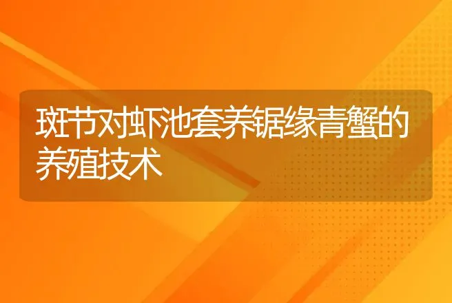 斑节对虾池套养锯缘青蟹的养殖技术 | 动物养殖