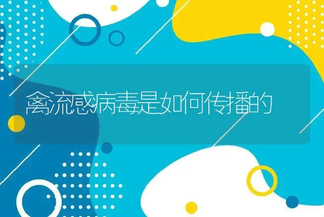 罗非鱼养殖密度：一亩鱼塘养多少条罗非鱼?罗非鱼密度养殖？ | 水产知识