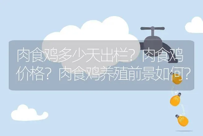 肉食鸡多少天出栏？肉食鸡价格？肉食鸡养殖前景如何？ | 动物养殖