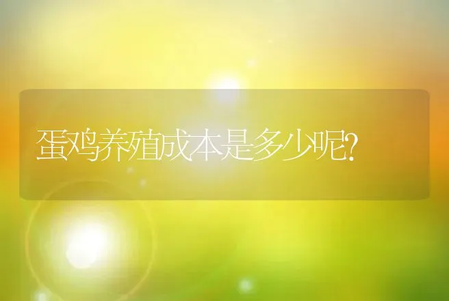 蛋鸡养殖成本是多少呢？ | 家禽养殖