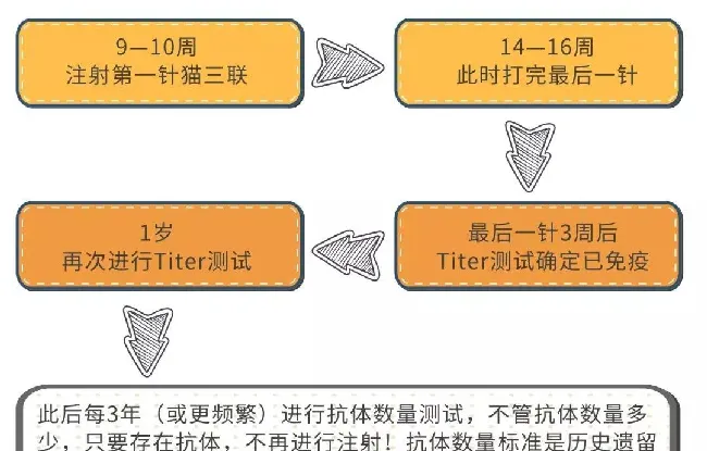 宠物过多的接种疫苗对它的身体健康有影响！ | 宠物狗病虫害防治