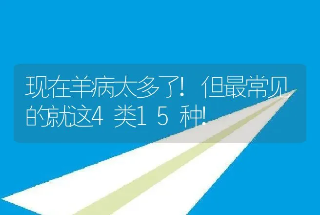 现在羊病太多了!但最常见的就这4类15种! | 家畜养殖