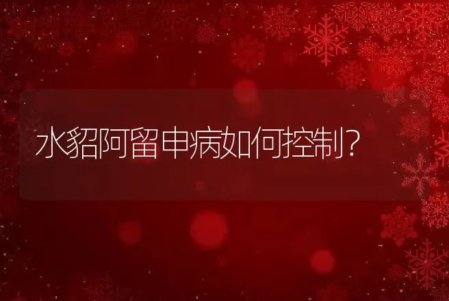 水貂阿留申病如何控制？ | 兽医知识大全