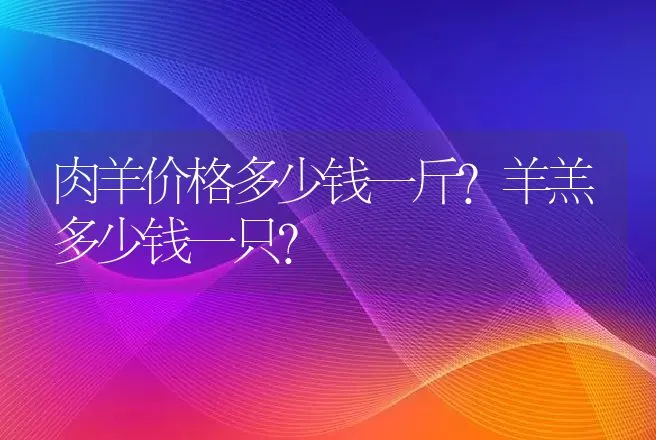 肉羊价格多少钱一斤？羊羔多少钱一只？ | 养殖致富