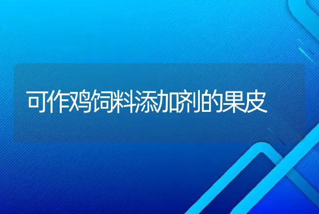 可作鸡饲料添加剂的果皮 | 动物养殖