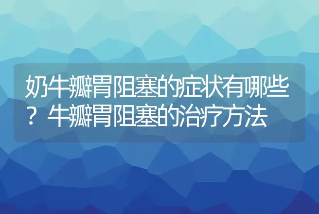 奶牛瓣胃阻塞的症状有哪些？牛瓣胃阻塞的治疗方法 | 兽医知识大全