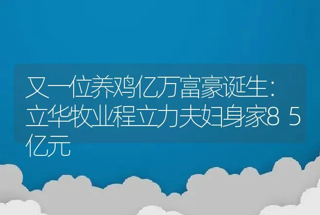 又一位养鸡亿万富豪诞生：立华牧业程立力夫妇身家85亿元 | 养殖致富