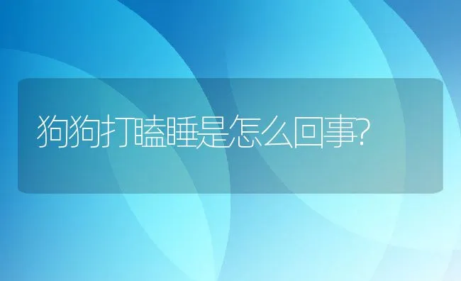 狗狗打瞌睡是怎么回事? | 宠物猫