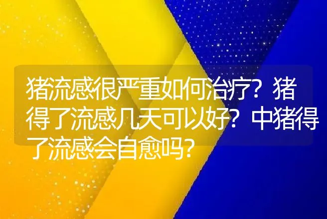 猪流感很严重如何治疗？猪得了流感几天可以好？中猪得了流感会自愈吗？ | 兽医知识大全