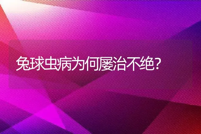 兔球虫病为何屡治不绝？ | 动物养殖