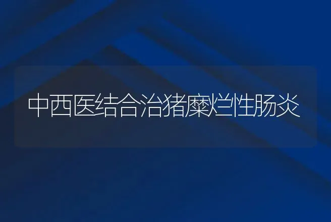 中西医结合治猪糜烂性肠炎 | 动物养殖