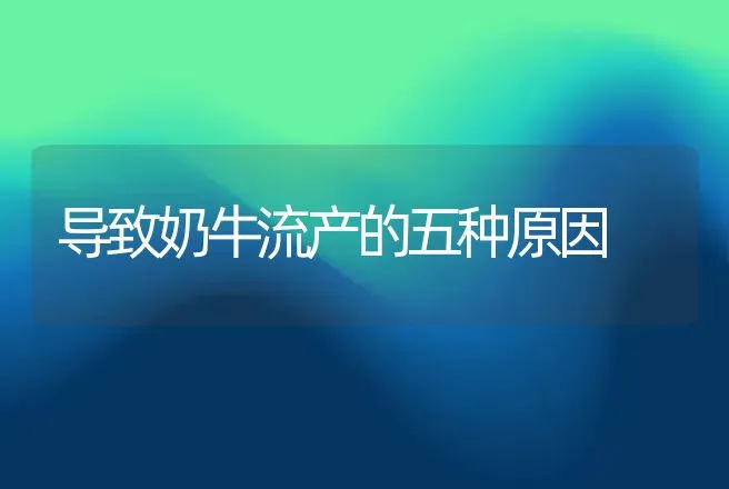 导致奶牛流产的五种原因 | 动物养殖