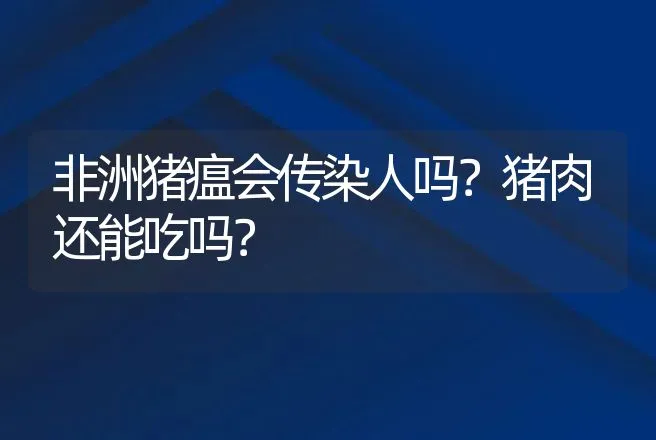 非洲猪瘟会传染人吗？猪肉还能吃吗？ | 兽医知识大全