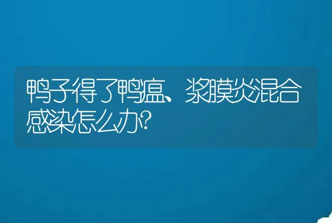 鸭子得了鸭瘟、浆膜炎混合感染怎么办? | 家禽养殖