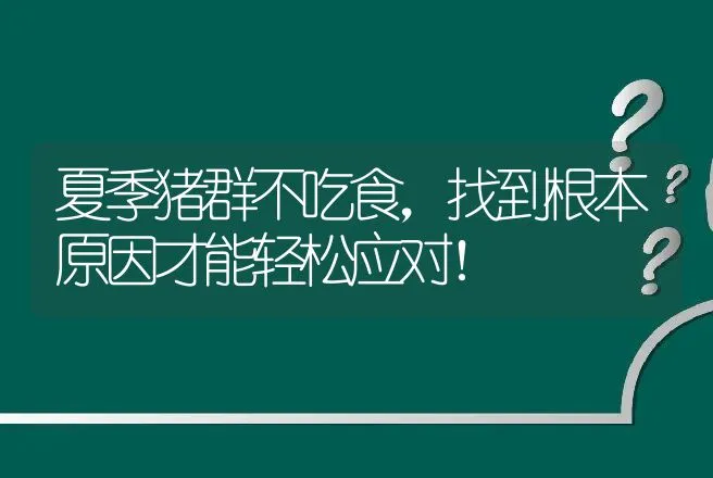 夏季猪群不吃食，找到根本原因才能轻松应对！ | 家畜养殖