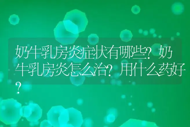 奶牛乳房炎症状有哪些？奶牛乳房炎怎么治？用什么药好？ | 兽医知识大全