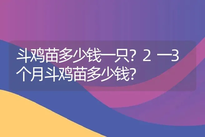 斗鸡苗多少钱一只？2一3个月斗鸡苗多少钱？ | 动物养殖