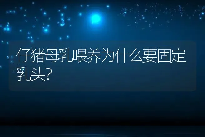 仔猪母乳喂养为什么要固定乳头？ | 动物养殖