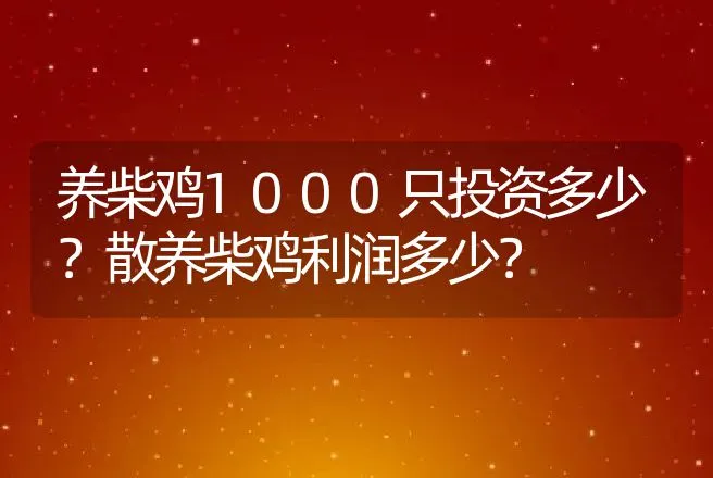 养柴鸡1000只投资多少？散养柴鸡利润多少？ | 家禽养殖