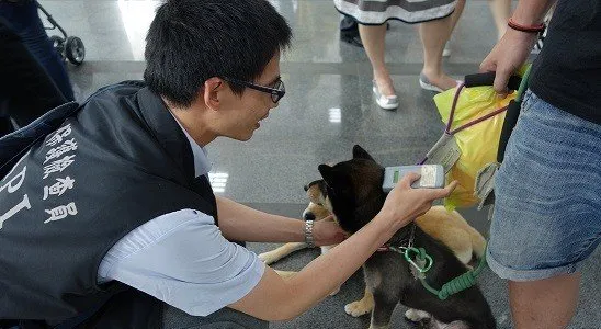 台北市动物保护自治条例 最高开罚1万 | 宠物新闻资讯