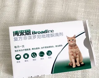 猫咪出现以下情况,一定要警惕猫耳螨! | 宠物猫病虫害防治