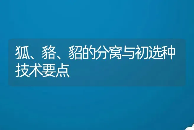 狐、貉、貂的分窝与初选种技术要点 | 动物养殖