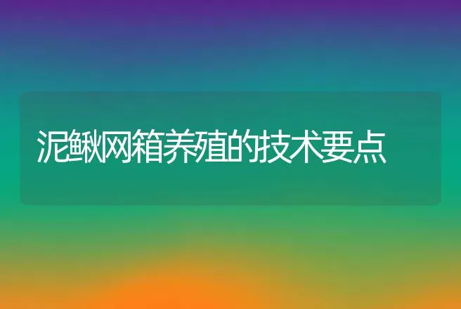 泥鳅网箱养殖的技术要点 | 动物养殖