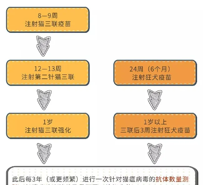 宠物过多的接种疫苗对它的身体健康有影响！ | 宠物狗病虫害防治