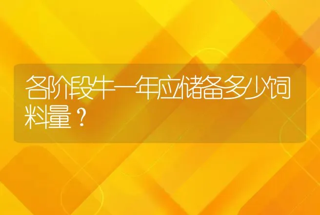 各阶段牛一年应储备多少饲料量？ | 家畜养殖