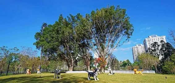 深圳首个宠物主题社区公园来了，许小小的它一方天地 | 宠物新闻资讯