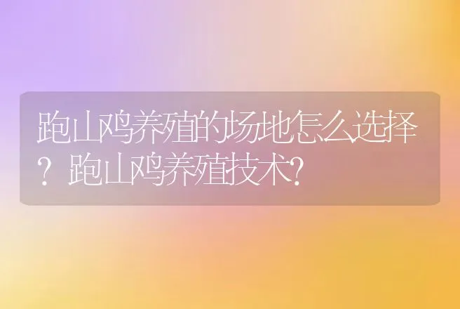 跑山鸡养殖的场地怎么选择？跑山鸡养殖技术？ | 家禽养殖