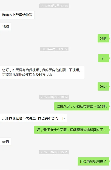 58上买狗靠谱吗？看完他这三次经历我沉默了 | 宠物新闻资讯