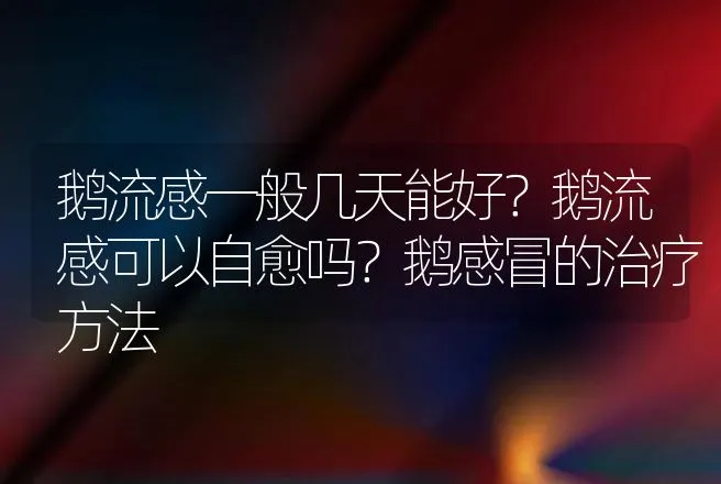 锦绣龙虾图片大全？锦绣龙虾多少钱一斤？ | 水产知识