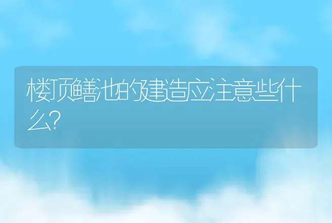 楼顶鳝池的建造应注意些什么？ | 动物养殖