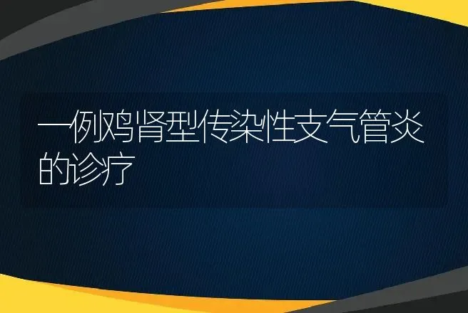 一例鸡肾型传染性支气管炎的诊疗 | 动物养殖