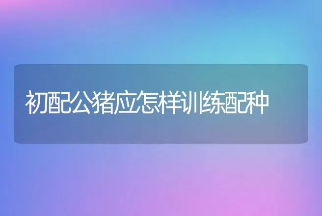 肉鸽养殖的疾病控制技术 | 动物养殖