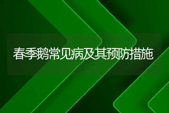 春季鹅常见病及其预防措施 | 兽医知识大全