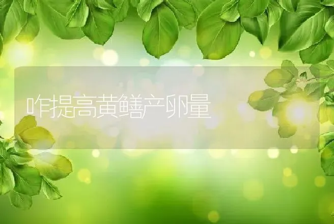 咋提高黄鳝产卵量 | 动物养殖