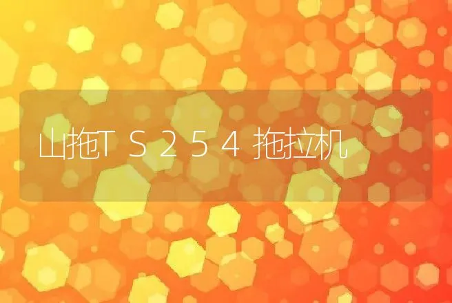 山拖TS254拖拉机 | 养殖