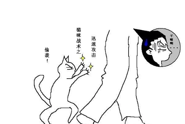 猫咪行为图解:养过猫的都懂 | 宠物百科知识