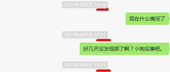 58上买狗靠谱吗？看完他这三次经历我沉默了 | 宠物新闻资讯