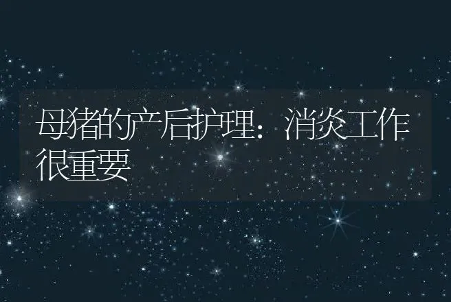 母猪的产后护理：消炎工作很重要 | 兽医知识大全