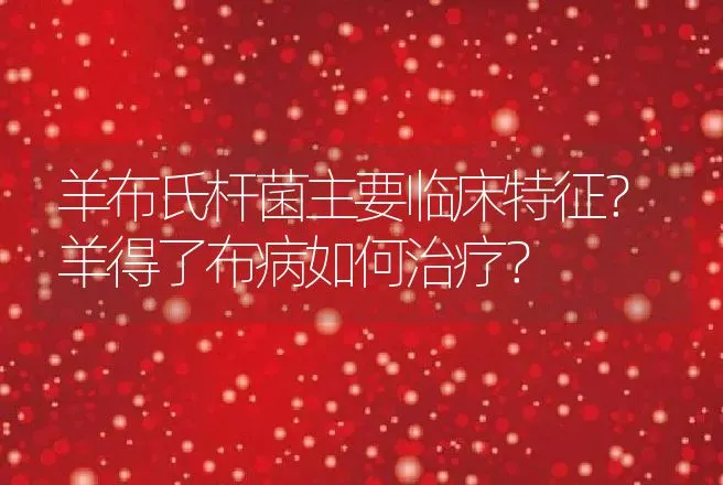 羊布氏杆菌主要临床特征？羊得了布病如何治疗？ | 兽医知识大全