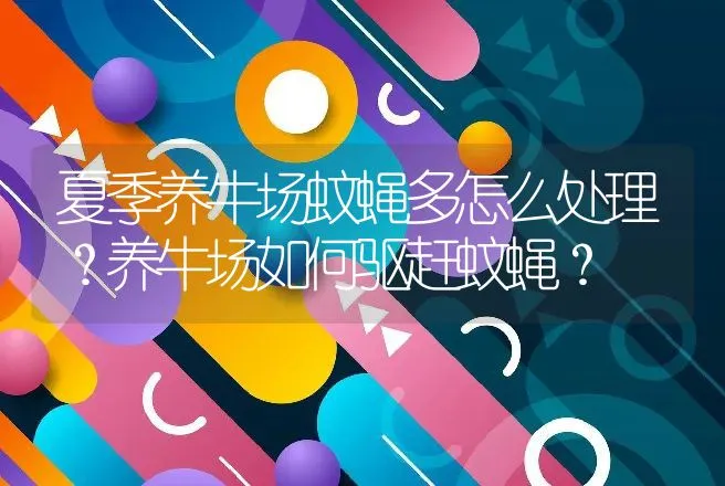 夏季养牛场蚊蝇多怎么处理？养牛场如何驱赶蚊蝇？ | 家畜养殖