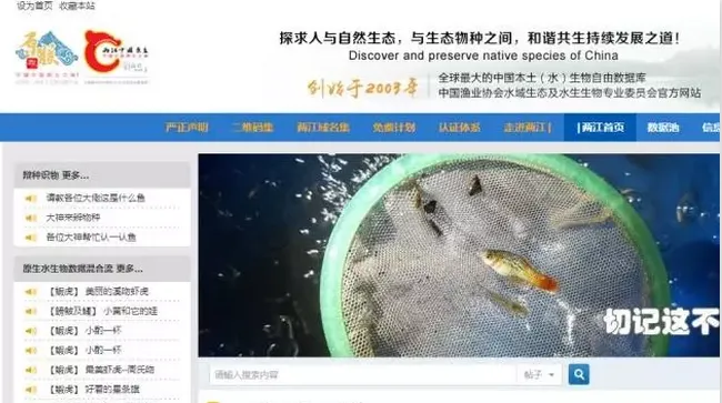 水族行业将是宠物行业的下一个分支 | 宠物行业洞察