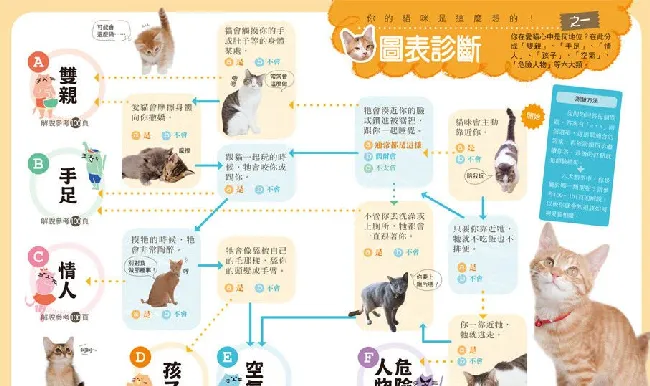 猫猫的六大行为看你在它心中的地位【详解】 | 宠物猫饲养