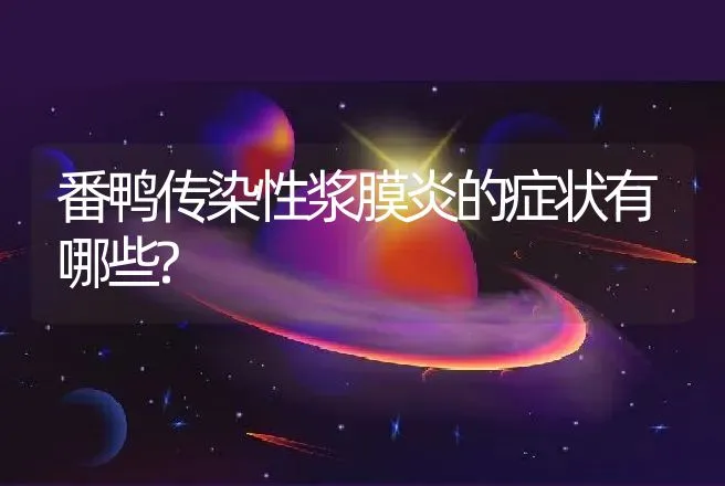 番鸭传染性浆膜炎的症状有哪些? | 家禽养殖