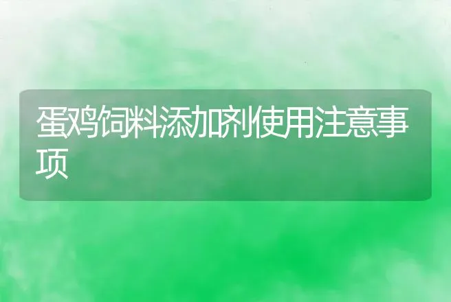 蛋鸡饲料添加剂使用注意事项 | 动物养殖